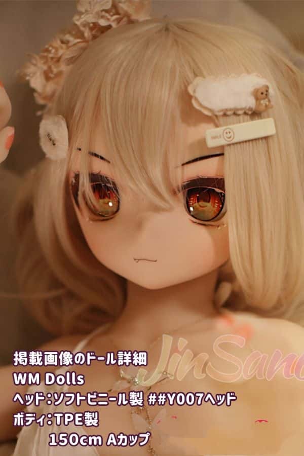 WMDolls 150cm Y007ヘッドのレビュー：ソフトビニール製ヘッドとTPE製ボディのAカップアニメドールとしてのラブドール、ダッチワイフの驚異的なコストパフォーマンス